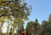 Pesaro, inaugurato il Parco degli Ulivi dopo la riqualificazione