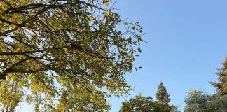 Pesaro, inaugurato il Parco degli Ulivi dopo la riqualificazione