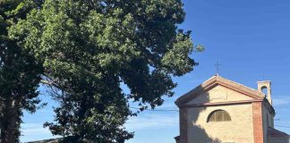 Cingoli, restaurata la chiesetta di San Carlo fra gli ulivi in contrada Botontano
