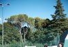 San Severino Marche: inaugurati i rinnovati campi al Tennis Club di via Campo Fiera
