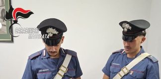 San Severino Marche: sequestrate piante di cannabis e denunciato 34enne