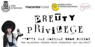 Al Museo di Storia Naturale di Macerata c’è “Pretty Privilege”
